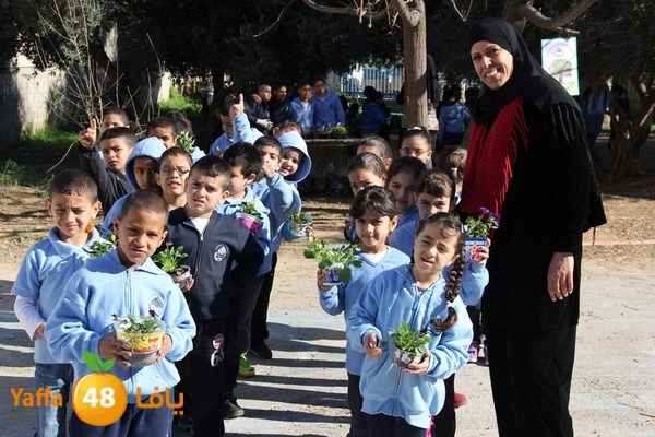 rashidiya 0212 (52).JPG